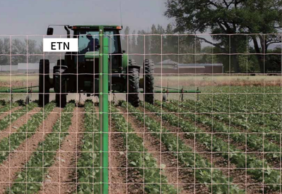 ũҵ����Χ��